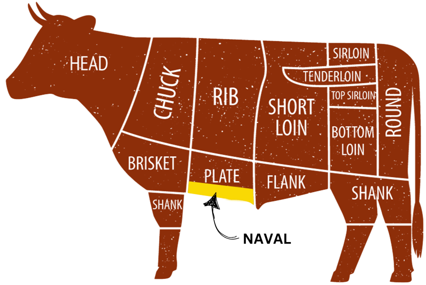 Where does Beef Bacon come from?